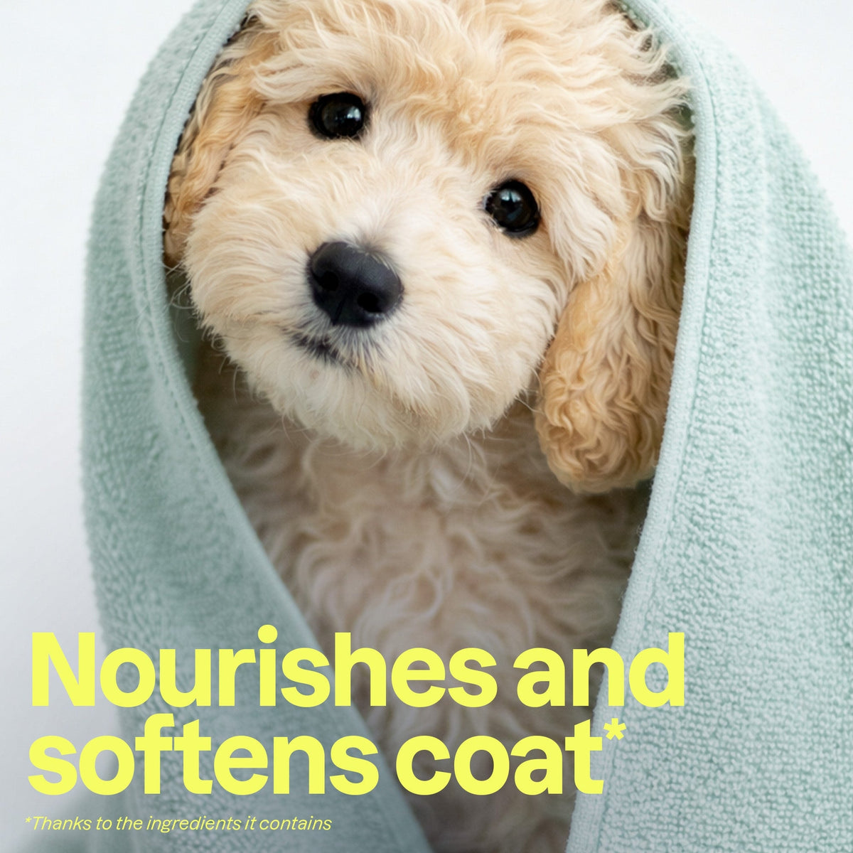 2-in-1 Pet Shampoo & Conditioner - Nourishing