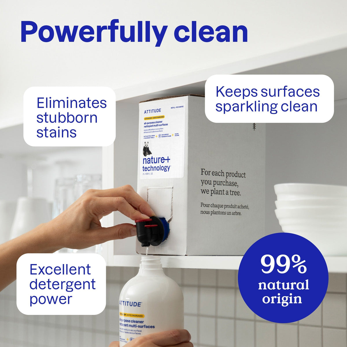 All Purpose Cleaner