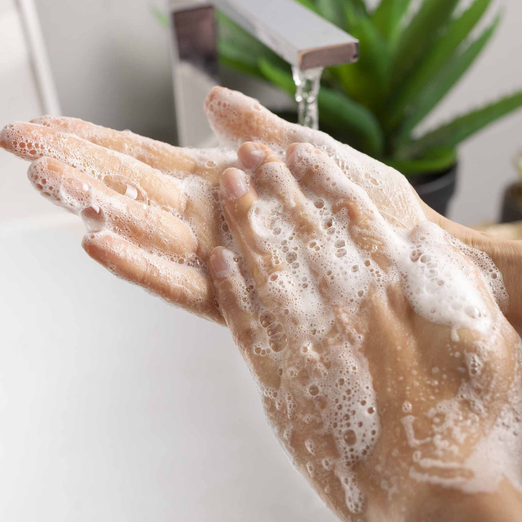 Foaming Hand Soap Kit