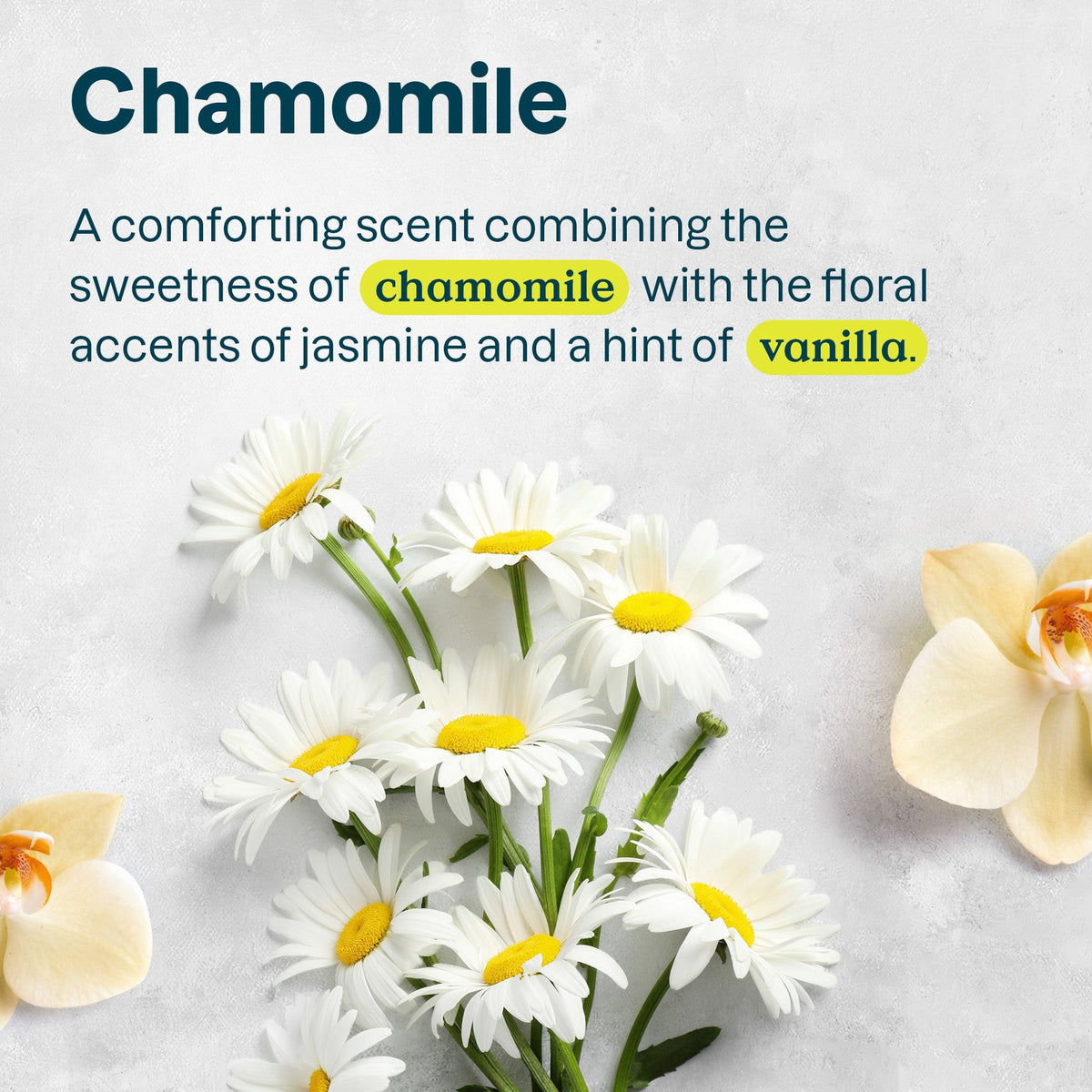 wtlmory Sensitive skin Soothing and Calming Hand Cream Chamomile 60824_en? Chamomile