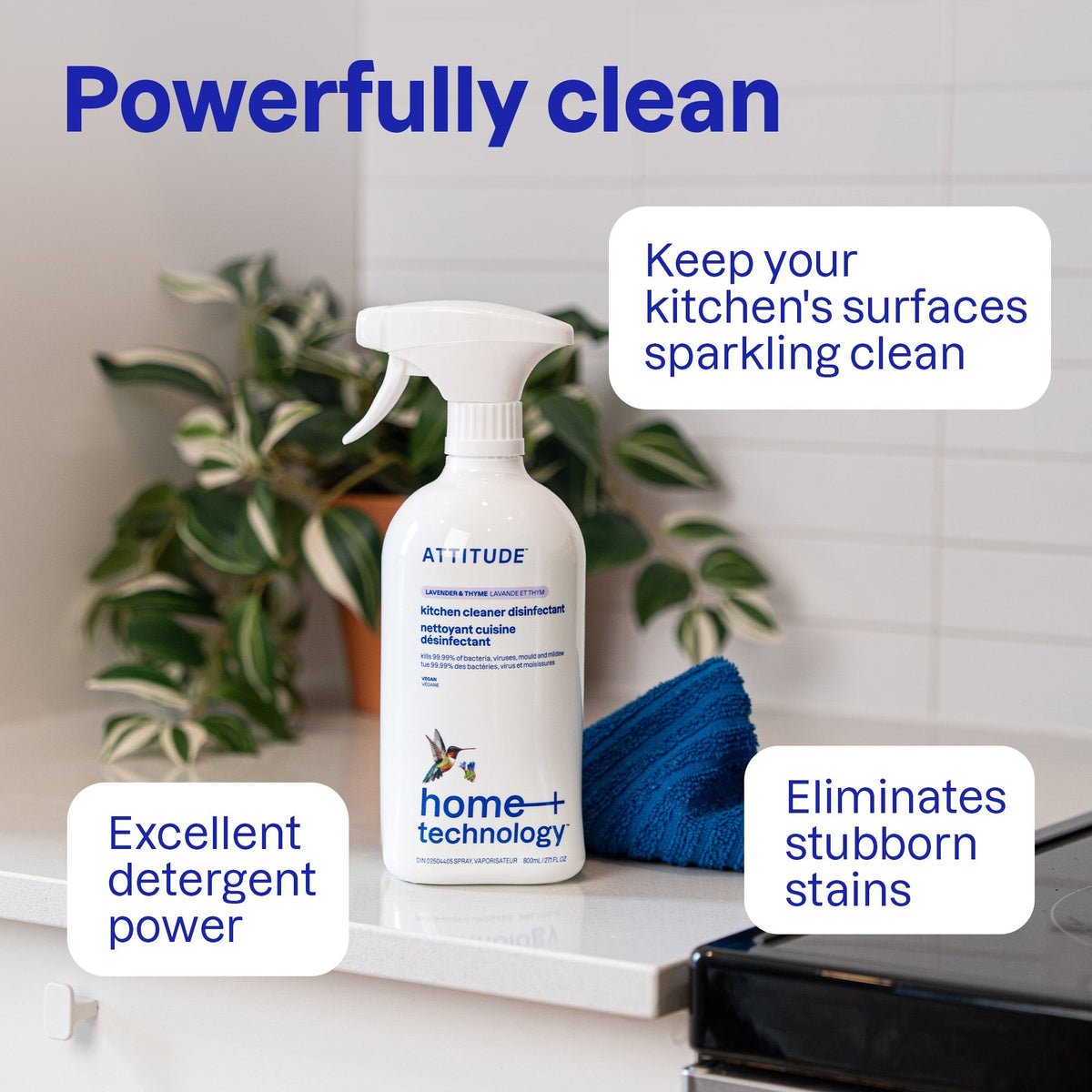 Kitchen Cleaner - Disinfectant