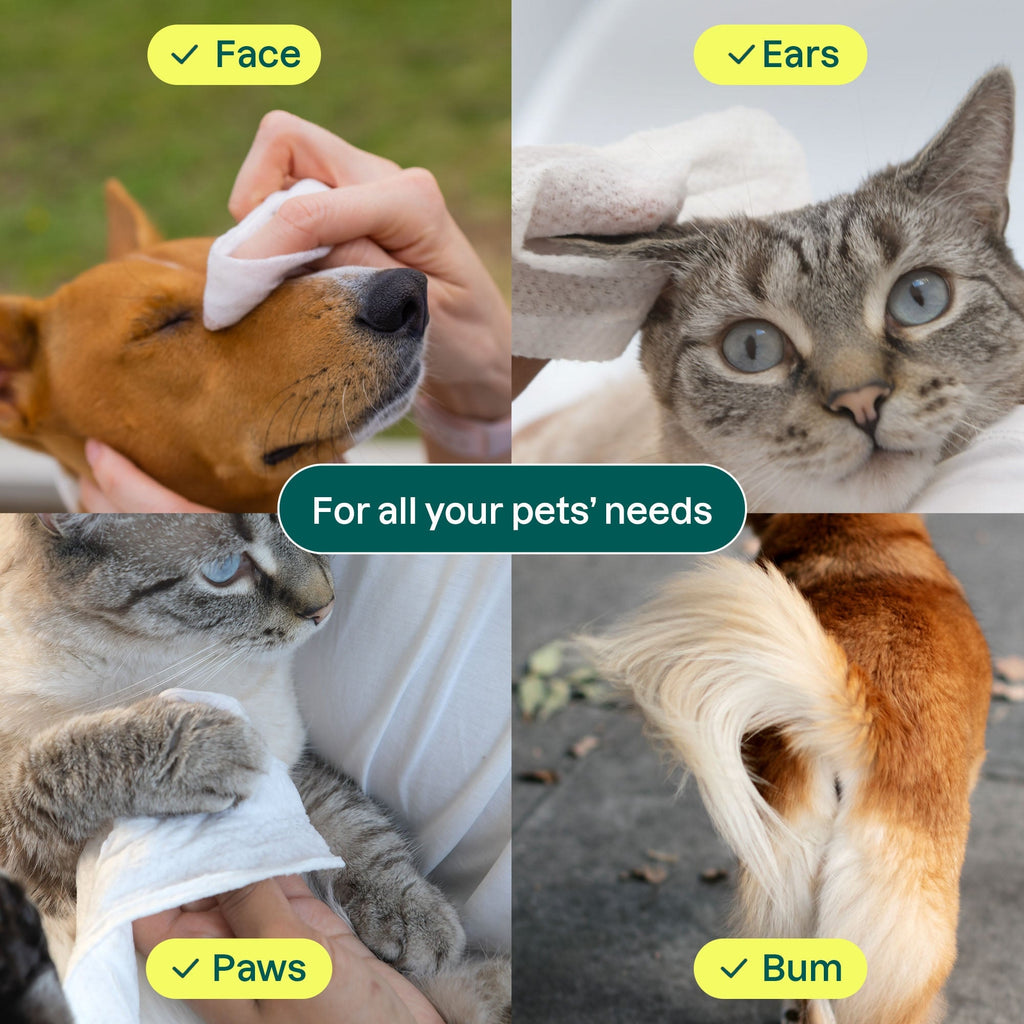 Pet Wipes